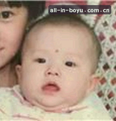 吴丽